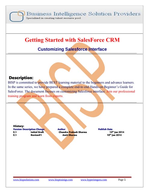 Customizing sales force-interface