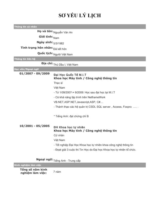 Cv it developer