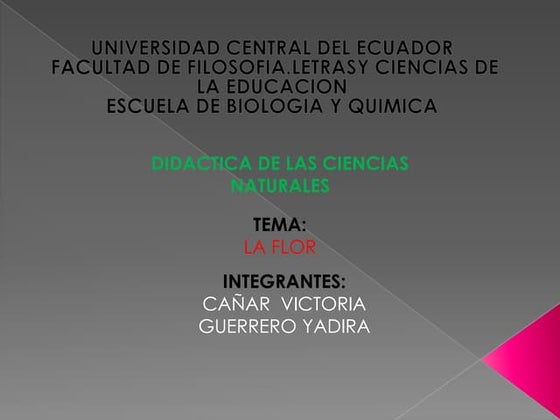 diapositivas de la flor 