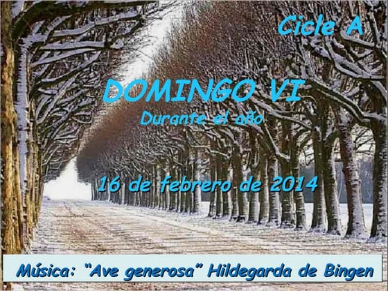 Domingo 6 t.o.a 2014 salmo y lecturas