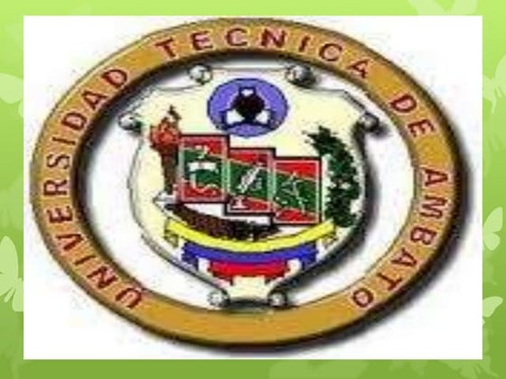 Esqueleto de el tronco anatomia