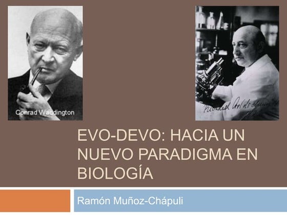 Evo devo