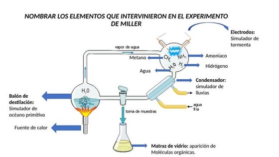 Experimento de Miller diapositivas para biologia
