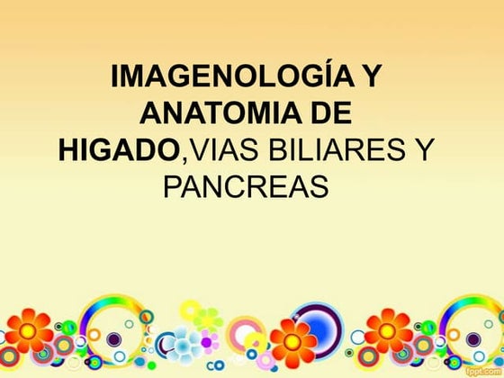 Expo imagenopancreas