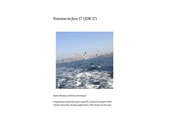 Java 17