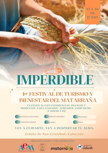 FESTIVAL IMPERDIBLE24 - Calaceite -15-16 junio.pdf