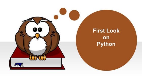 First look on python