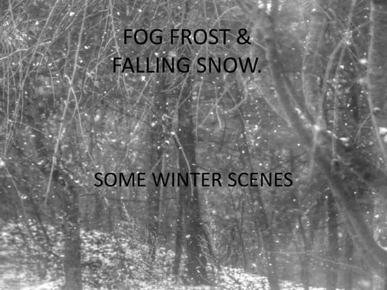 Fog frost & (nx power lite)
