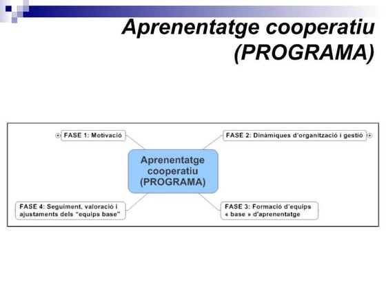 Aprenentatge cooperatiu: programa