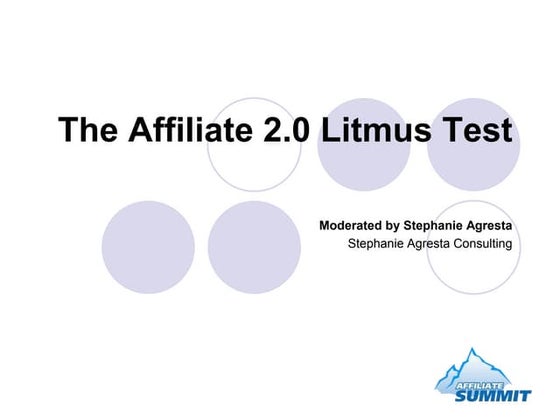 The Affiliate 2 0 Litmus Test