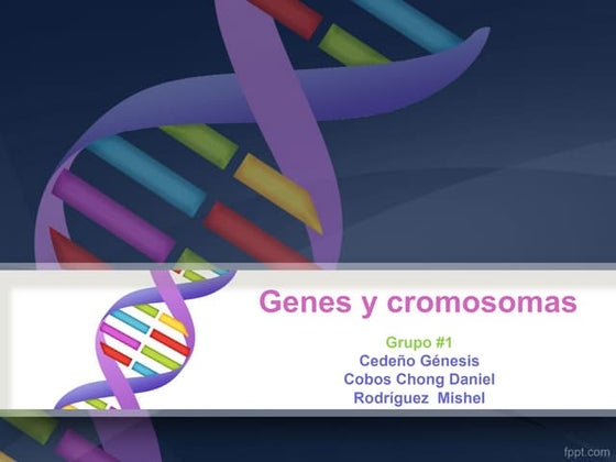 Genes y cromosomas