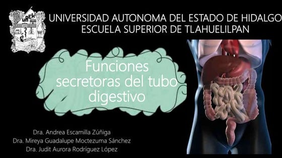Funciones secretoras del tubo digestivo Fisiologia Medica Guyton y Hall.