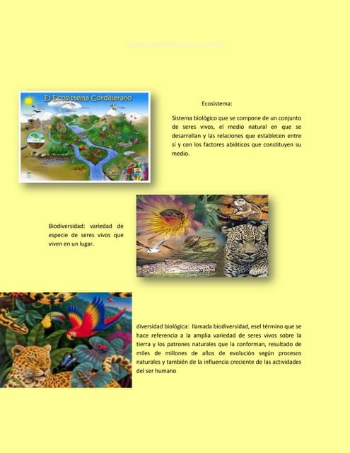 Glosario de términos desconocido