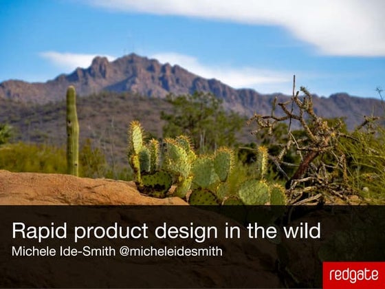 Rapid Product Design in the Wild