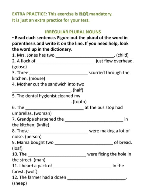 Grammar nouns plural and possessive