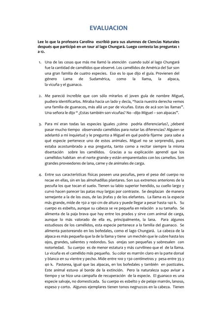Guia lenguaje causa y efecto