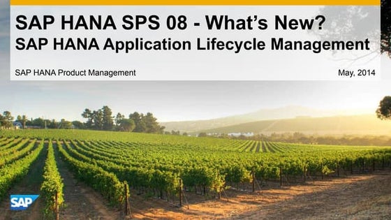 SAP HANA SPS08 Application Lifecycle Management