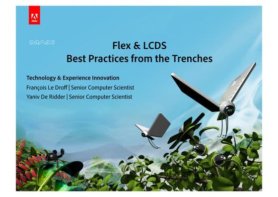 Flex and LiveCycle Data Services Best Practices from the Trenches (Adobe MAX ...