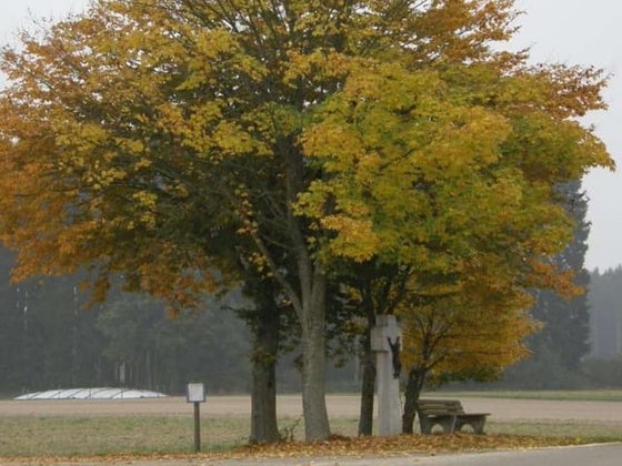Herbststimmung