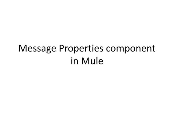 How to use message properties component