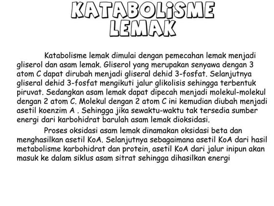 Hubungan metabolisme protein,karbohidrat dan lemak
