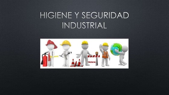Identificacin de riesgos y seguridad industrial.