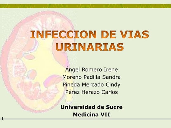 Infeccion De Vias Urinarias
