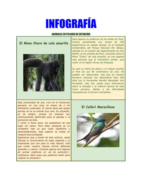 INFOGRAFIA DE ANIMALES EN EXTINCION