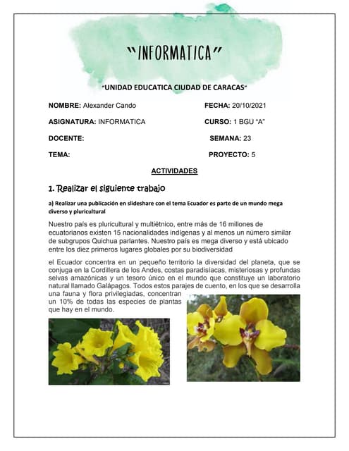 Informatica cando s23