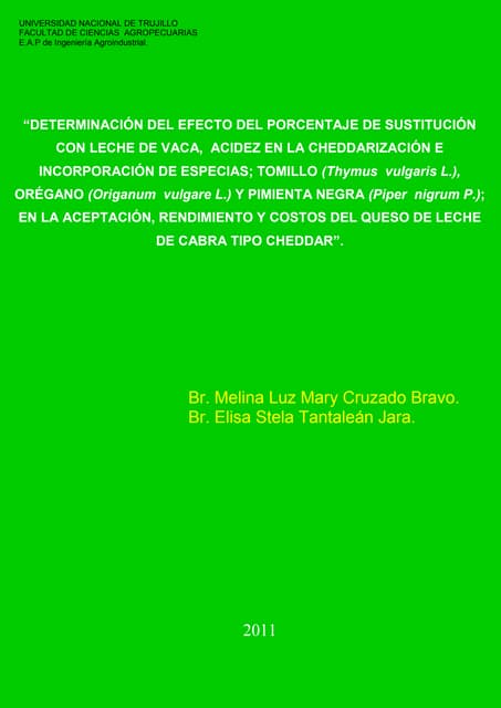 Informe final final   copia