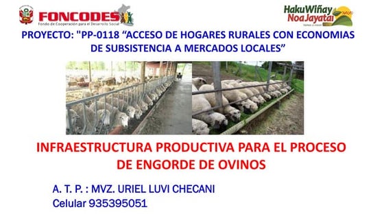 INFRAESTRUCTURA DE OVINOS .pdf