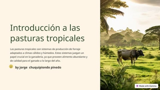 Introduccion-a-las-pasturas-tropicales [Autoguardado].pptx