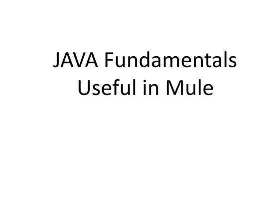 Java Basics in Mule
