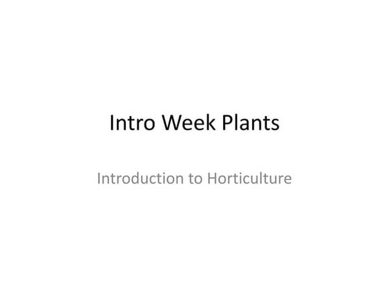 Intro week plants