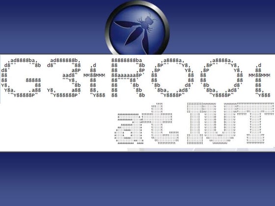 G3t R00t at IUT