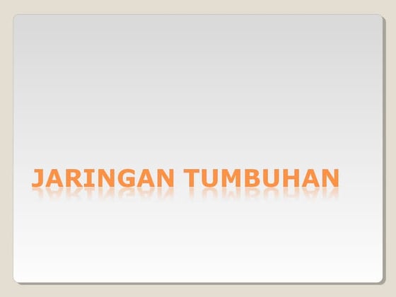 Jaringan Dan Organ Tumbuhan