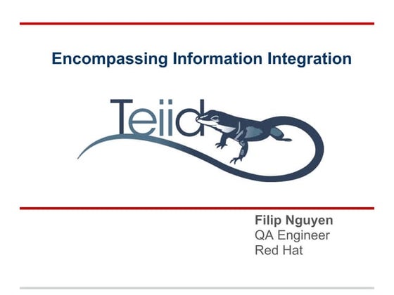 Encompassing Information Integration