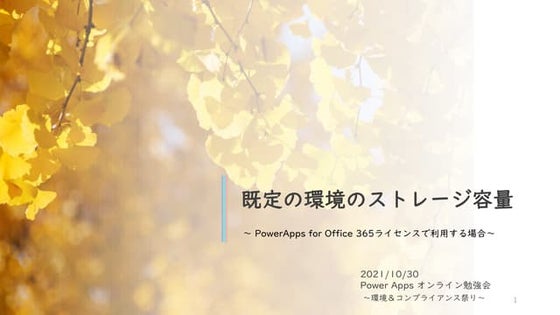 （修正版）既定の環境のストレージ容量
