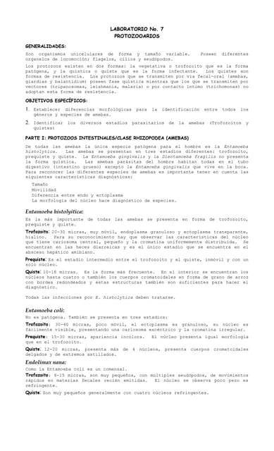 Lab #7