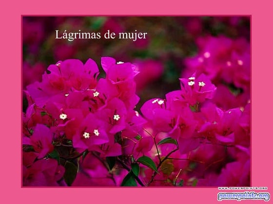 La belleza de la mujer 