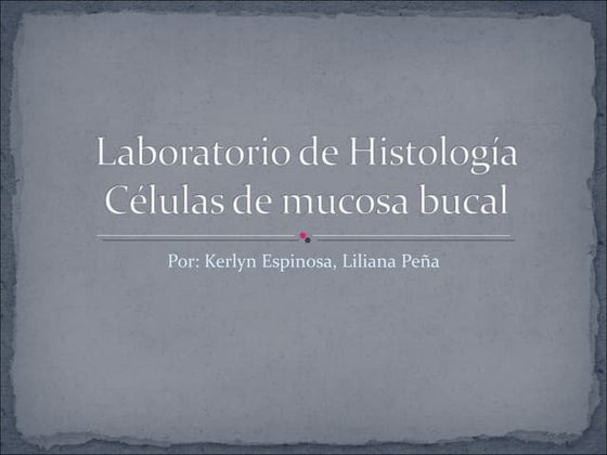 Laboratorio de histologã a
