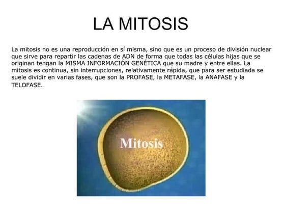 La mitosis