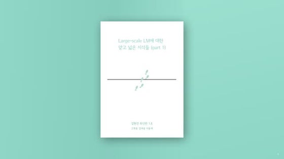 Large scale-lm-part1