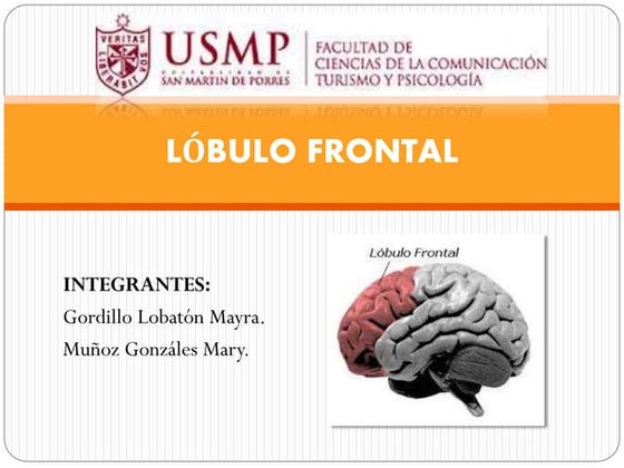 Lóbulo frontal