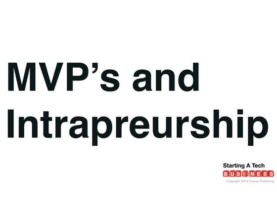 On Intrapreneurship: Lean Startup & MVP's