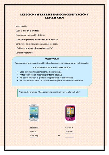 procesos basicos observacion y descripcion