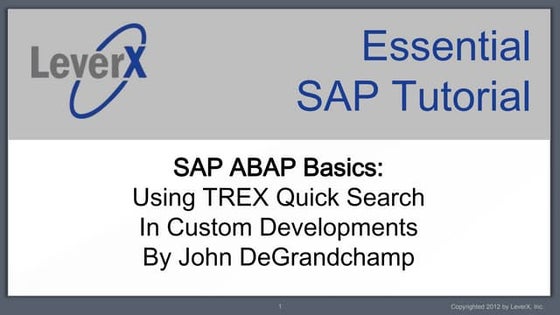 LeverX ABAP Basics - Using The TREX Search Component