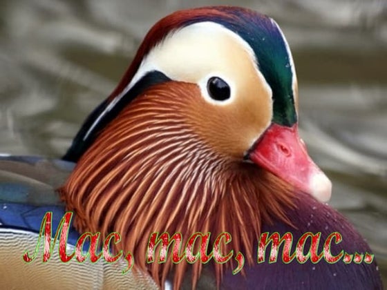 Mac, mac, mac....