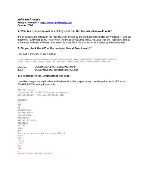 Malware analysis