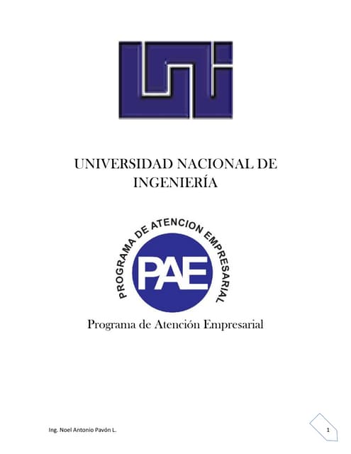 Manual Excel Avanzado